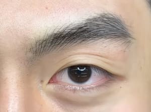 Eyebrow Tattoo result by FengShui Your Face EyeBrows Tattoo in Vienna, VA