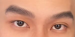 Eyebrow Tattoo result by FengShui Your Face EyeBrows Tattoo in Vienna, VA