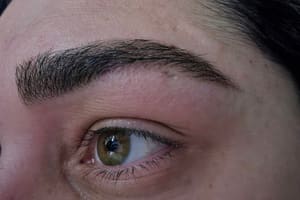 Eyebrow Tattoo result by Flawless Faces Lash & Brow Artistry in Dover, NH