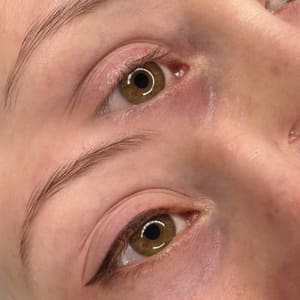 Eyebrow Tattoo result by Gina Markle PMU in Santa Rosa, CA