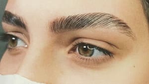 Eyebrow Tattoo result by Giselli Brows in St Cloud, FL