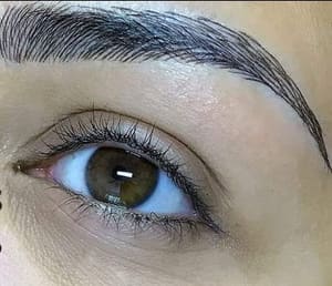 Eyebrow Tattoo result by GJ Beauty in Oviedo, FL