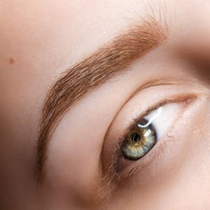 Eyebrow Tattoo result by Golden Touch Permanent Makeup Studio & Academy in Garden City, MI