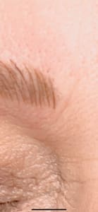 Eyebrow Tattoo result by HadleyBrows Studio in Saginaw, MI