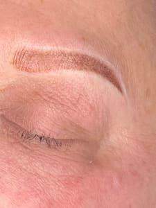 Eyebrow Tattoo result by Haus Of Lash & Mane in Troy, OH