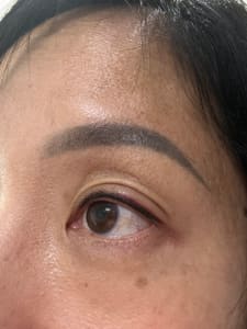 Eyebrow Tattoo result by High Level Pmu Brows & Beauty in Wellington, FL