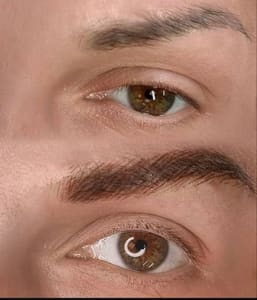 Eyebrow Tattoo result by Inga Mode PMU Studio in Woodland Hills, CA