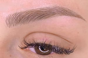 Eyebrow Tattoo result by Ink 4 Girls Permanent Makeup in Henderson, NV