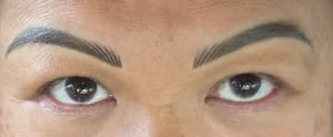 Eyebrow Tattoo result by Ink and Esthetics by Arti in Elko, NV