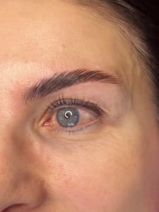 Eyebrow Tattoo result by Ink and Esthetics by Arti in Elko, NV