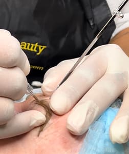 Eyebrow Tattoo result by Inked by Yaya in Haines City, FL