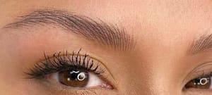 Eyebrow Tattoo result by Inkova Studio in Modesto, CA