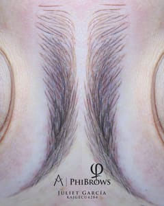 Eyebrow Tattoo result by Innoa in Kissimmee, FL