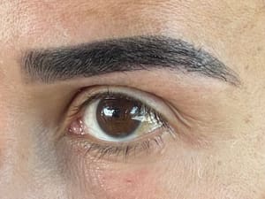 Eyebrow Tattoo result by Instyle Brows in Plano, TX
