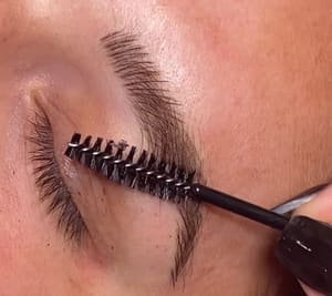 Eyebrow Tattoo result by Island Girl Ink in Altamonte Springs, FL