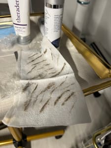 Eyebrow Tattoo result by Jaylee’s Beauty Lounge - Hartsdale in Hartsdale, NY