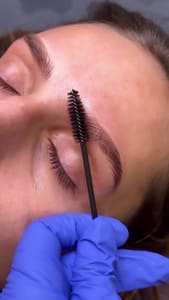 Eyebrow Tattoo result by JPark Studio in Sunset Valley, TX