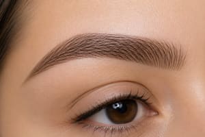 Eyebrow Tattoo result by JT Lash Studio in Laguna Beach, CA
