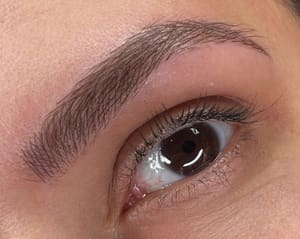 Eyebrow Tattoo result by Kat Brudner Eyebrows in Louisville, KY