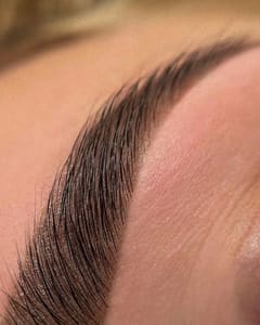 Eyebrow Tattoo result by KD Brows in Studio City, CA