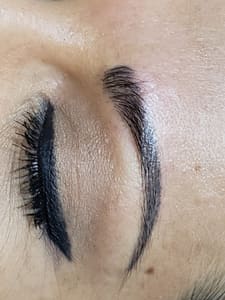 Eyebrow Tattoo result by La'Bella Permanent Makeup in Holland, MI