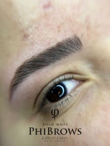 Eyebrow Tattoo result by LA Brows and Beauty in Tampa, FL