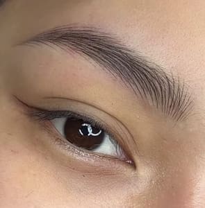 Eyebrow Tattoo result by La Vie Lashes n Brows in Wayzata, MN