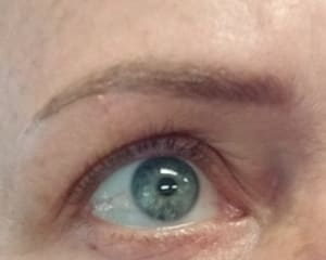 Eyebrow Tattoo result by LaPierre Lash & Brow Studio in New Smyrna Beach, FL