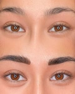 Eyebrow Tattoo result by Lash and Brow WOW in Cambridge, MA