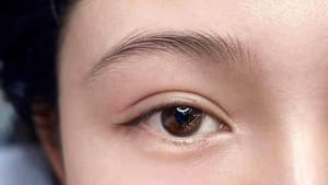 Eyebrow Tattoo result by Leaf H. Beauty Studio in Rockville, MD