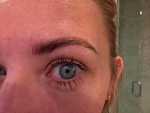 Eyebrow Tattoo result by LeBlanc Artistry in Bountiful, UT