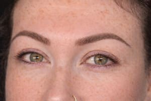 Eyebrow Tattoo result by Lianas Beauty Haven Studio in St James, NY