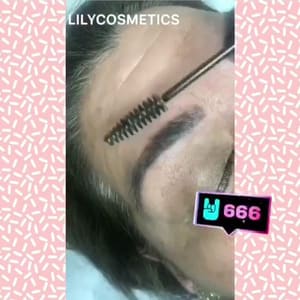 Eyebrow Tattoo result by Lily Cosmetics/Microblading/Makeup/Threading in Mission, TX