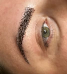 Eyebrow Tattoo result by Lit by Linnia in Newark, OH