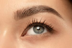 Eyebrow Tattoo result by Look Natural in Sandy Springs, GA