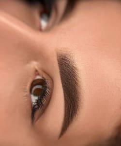 Eyebrow Tattoo result by LR Studio in Pinellas Park, FL