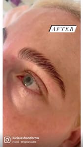 Eyebrow Tattoo result by Lucia Lash and Brow Brooklyn in Brooklyn, NY
