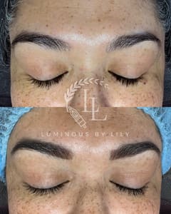 Eyebrow Tattoo result by Luminous By Lily in Las Cruces, NM
