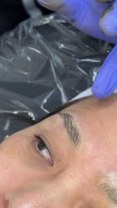 Eyebrow Tattoo result by Lush Brow Boutique in Woodinville, WA