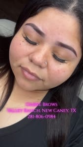 Eyebrow Tattoo result by Lux Brow Vanity in New Caney, TX