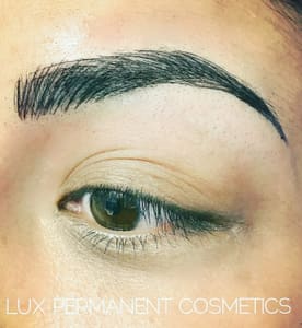 Eyebrow Tattoo result by Lux Permanent Cosmetics in East Longmeadow, MA
