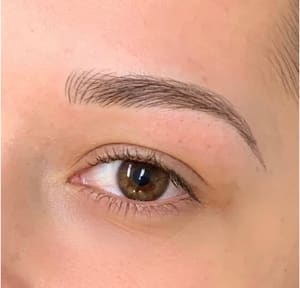 Eyebrow Tattoo result by LUXX Beauty & Brow in Jacksonville, FL
