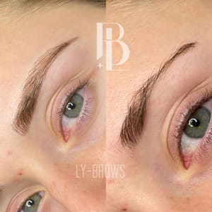 Eyebrow Tattoo result by Ly-Brows Beauty in Reston, VA