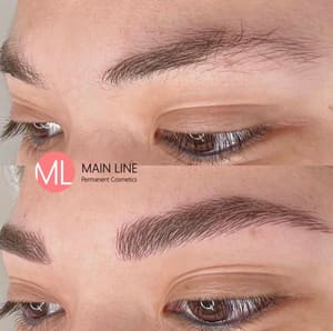 Eyebrow Tattoo result by Main Line Permanent Cosmetics in Wayne, PA