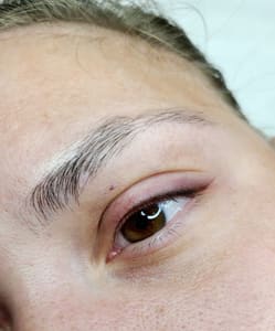 Eyebrow Tattoo result by Mango Beauty Bar (ex. La Belle Femme) in Tampa, FL