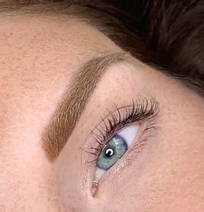 Eyebrow Tattoo result by Mango Beauty Bar (ex. La Belle Femme) in Tampa, FL