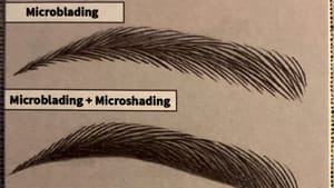 Eyebrow Tattoo result by Maria's Microblading in East Elmhurst, NY