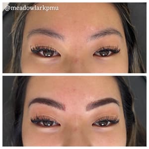 Eyebrow Tattoo result by Meadowlark PMU & Nanoblading Studio in Nixa, MO