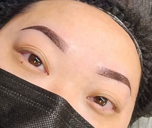 Eyebrow Tattoo result by Memoir Ink Studio in Sheboygan, WI
