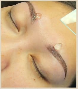 Eyebrow Tattoo result by Memoir Ink Studio in Sheboygan, WI